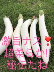 紫ナスと白ナス19kg箱込み（2種類）