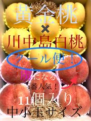 予約商品　８月下旬～9月上旬にかけ順次発送予定。　贅沢な詰め合わせ♪ 至極の黄金桃×王様・川中島白桃 アソート！食べ比べに♪