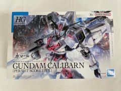 未開封】RG 1/144 クロスボーン・ガンダムX1［チタニウム