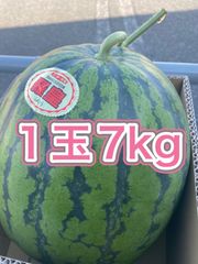産地直送　秋スイカ　7kg 1玉入り