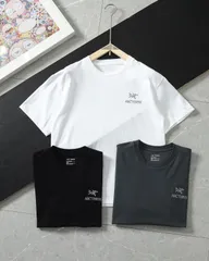 2024年最新】アークテリクス tシャツ キャプティブ スプリットの人気 