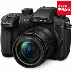 Panasonic DC-GH5 V-LOG 保証期間有り バッテリー6個付き 2025年最新】gh5 v-logの人気アイテム - メルカリ
