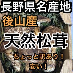 安い！現物一点のみ！当日発送！掘り出し物！早い者勝ち🙇信州後山産天然松茸！400g ひらき松茸