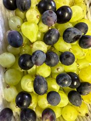 宅急便コンパクト　山形産　ぶどう　雄宝＆ナガノパープル　1kg