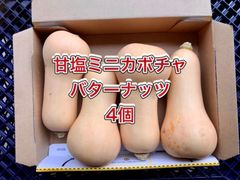 【鹿児島産】甘塩ミニカボチャ（バターナッツ）4個^_^