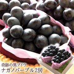 ナガノパープル ぶどう ぶどうギフト お中元 暑中お見舞い 残暑お見舞い フルーツギフト お取り寄せ 種無しぶどう 長野県産 [ナガノパープル2房] 1房当たり500g