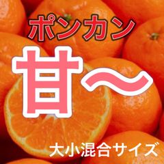 和歌山産　ポンカン　大小混合サイズ　4.5kgのサムネイル
