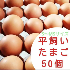 クール便　平飼い ちび卵 S~MSサイズ 10個入り5パック 国産もみじの卵 新鮮 産みたて 初卵