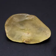 2025年最新】サンリビアの人気アイテム - メルカリ