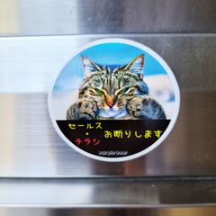 ２枚セット販売　送料無料　チラシ投函防止ステッカー　広告　DM　フリーペーパー　ポスティング　勧誘　セールス　玄関　ポストインターホン　耐水「セールス・チラシ　お断り　猫　デザイン　ステッカー」（約６０ｍｍ×約６０ｍｍ） ※２枚セット販売🎵
