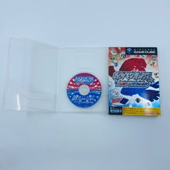 ポケモン整理ツール　ポケモンボックス　ルビー&サファイア