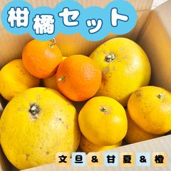 福岡県産 土佐文旦2個＆あまなつ6個＆橙3個セット