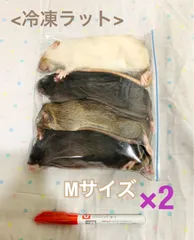 冷凍ラット(国産) 23g前後 50匹セット 2025年最新】冷凍 ラットの人気アイテム - メルカリ