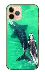iPhone8 iPhone7 ケース カバー アイフォン8 アイフォン7 スマホケース ハードケース クジラ くじら クジラ ホエールウォッチング 海 動物 写真 かっこいい カッコイイ クール カラー05