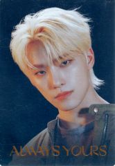 [중고] 식완 스티커 씰 디노 레어 씰 [SVT 웨이퍼 하스 FROM PLEDIS ENTERTAINMENT SEVENTEEN]