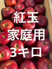 青森県産りんご紅玉3キロ家庭用9月10日頃から収穫予定