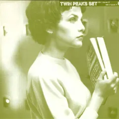 LD レーザーディスク ツイン・ピークス・セット TWIN PEAKS 15枚