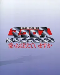 超時空要塞マクロス TVシリーズ LDセット 整理番号ン20
