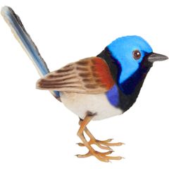 HANSA BH8410 ムナグロオーストラリアムシクイ 12 VARIEGATED FAIRYWREN 鳥 小鳥 リアル ぬいぐるみ ハンサ 動物 アニマル 置物 人形 フィギュア 大きい 実物大 大型 ビッグ おすすめ かわいい おしゃれ
