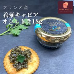 フランス産養殖キャビア オシェトラ18g