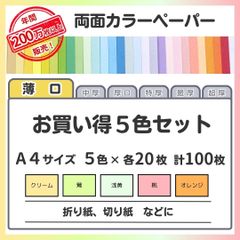 【特別価格】色画用紙 まとめ売り A4 薄口タイプ（0.08㎜／5色×各20枚）全100枚／印刷対応カラーペーパー／案内状・型紙・回覧・下書き・お知らせに