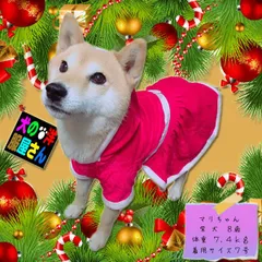 犬服 サンタワンピース ( 小型犬用 ) クリスマス サンタクロース 防寒着 チワワ トイプードル ミニチュアダックス