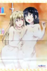 【中古】タペストリー 姫柊雪菜＆藍羽浅葱 アニメイラスト描き下ろしB2タペストリー 「Blu-ray/DVD ストライク・ザ・ブラッド FINAL OVA」 とらのあな全巻購入特典