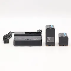 2025年最新】BP-U60の人気アイテム - メルカリ