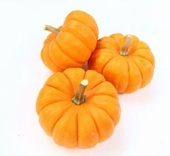 ミニパンプキン　種子　おもちゃかぼちゃ　ハロウィン