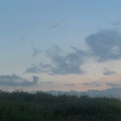 2022 FOXEY フォクシー ニット プラージュ 現行 大きいサイズ 42