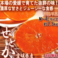 せとか 約2.5kg M～4Lサイズ 訳あり 愛媛県産 JA全農えひめ中心 果汁溢れる濃厚な甘さの高級フルーツ！お得な家庭用のみかん