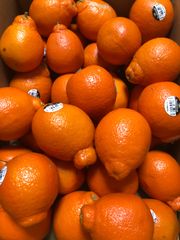 ミネオラオレンジ 箱込み5キロ程度 アメリカ産