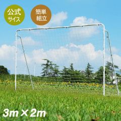 6-160 新品未使用 フットサルゴール  組立式 公式サイズ キャリーバッグ付 家庭用 室内 屋外兼用 練習用ネット サッカーゴール フットサル ゴール サッカー ミニサッカー トレーニング 子供 大人