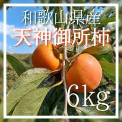 天神御所柿 てんじんごしょ 6kg 和歌山