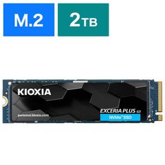 KIOXIA NVME 2280 4096GB SSD 使用時間少ない KIOXIA NVME 2280 4096GB SSD 使用時間少ない - メルカリ