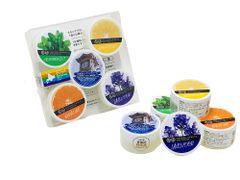 Item thumbnail for item d2dcb26d-5de6-46e6-bcf8-ab64199931f5