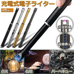 ライター USB充電式 電気 プラズマ 点火用 無炎 ガス 不要 電子 火起こし 防風 アーク スリム アウトドア バーベキュー防災グッズのサムネイル