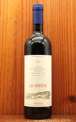 2025年最新】サッシカイアの人気アイテム - メルカリ