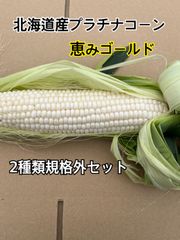 お試し価格期間　クール発送　北海道産　とうもろこし　2種類セット　規格外品　総5Kg