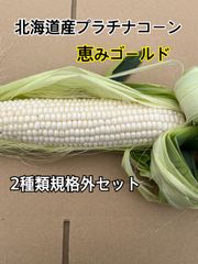 お試し価格期間　クール発送　北海道産　とうもろこし　2種類セット　規格外品　総5Kgのサムネイル