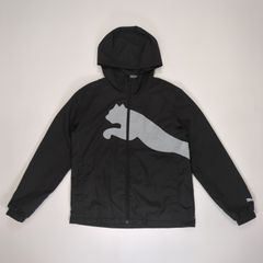 Item thumbnail for item d395af67-f0de-4a2e-b479-dc286590b349