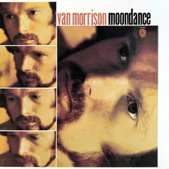 Van Morrison 2枚 レコード 180g 未開封新品 VAN MORRISON / Saint Dominic's Preview (LP) / Warner Bros