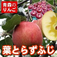 【送料無料】11月中旬頃から発送開始 葉とらず サンふじ 家庭用 3C箱(約7～10個入)  一華ベジフル 果物 訳あり 農家 りん