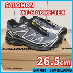 2023年最新】salomon xt-6 24.5の人気アイテム - メルカリ