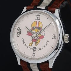 不動品 新品ベルト CITIZEN BIG1 王貞治 読売巨人軍 腕時計 手巻き