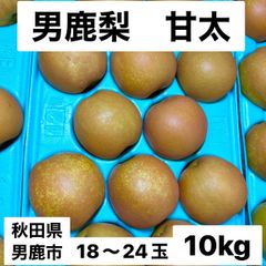 男鹿梨「甘太」10kg 【家庭用】  大将梨園　秋田県男鹿市産