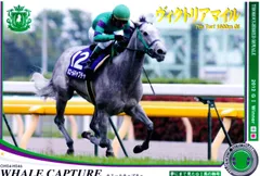 オーナーズホース オルフェーヴル、グラスワンダー、ナリタブライアン