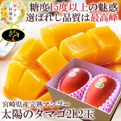 太陽のタマゴ マンゴー 贈り物 内祝い 出産内祝い 誕生日プレゼント お祝い お礼 お見舞い 快気祝い お供え 手土産ギフト ゴルフコンペ景品 ご結婚お祝い 結婚内祝い 寿 [太陽のタマゴ2L2玉A] 冷蔵便 クール便