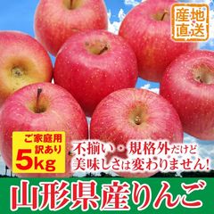 【訳あり】山形県産　サンふじ　りんご5kg