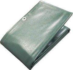 Item thumbnail for item bce21c89-ed76-4b85-b232-dc8ea0d00610